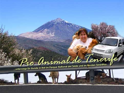 Tierhilfe Pro Animal de Tenerife